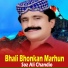 Soz Ali Chandio
