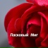 Гравитация