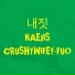 내짓 naejis