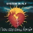 System in Fly