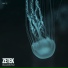 Zetek