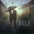 Desa