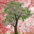 Five Seasons
