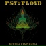 Psy-Floyd