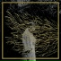 Forest Swords