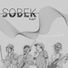 Sobek Project