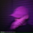 NICOLAS