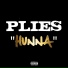 Plies