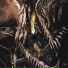 Thalarion