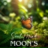 Moon's