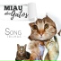 SONG TRILHAS, Dito Ferreira