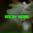Boldy Ream