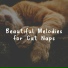Cat Music