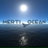 MERTI