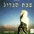 תומר חתוכה