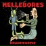 Hellebores