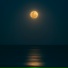 Moon Rabbit