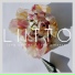 LIITTO