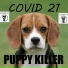 CoVid 21