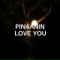 Pin4anin