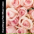 Pink Noise