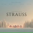 Shtraus