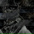 YVNCC