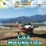 El Bichi