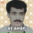 Alim Masroor