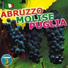 Complesso Folk Abruzzese