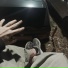 pvpmusic