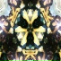 halfadedd