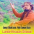 Asmat Ullah Jarar, Wali Zaman Raza