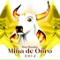 Boi Bumbá Mina de Ouro