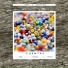 SPUDB, George Karayiannis
