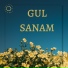 Gul Sanam