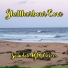 Soundole VGM Covers