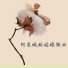 新时代轻音乐团