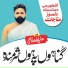 Huzaifa Qasmi
