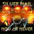 Silver Nail
