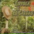 El Carrao de Palmarito, Joseíto Romero Y Su Grupo