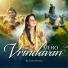 Tanu Verma