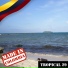 Los Guacharacos De Colombia