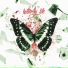 oryn