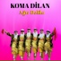 Koma Dilan