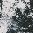 floridomi