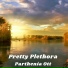 Parthenia Ott