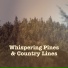 Countryside Melody