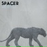 Spacer Goes Platinum