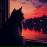 Osya Cat